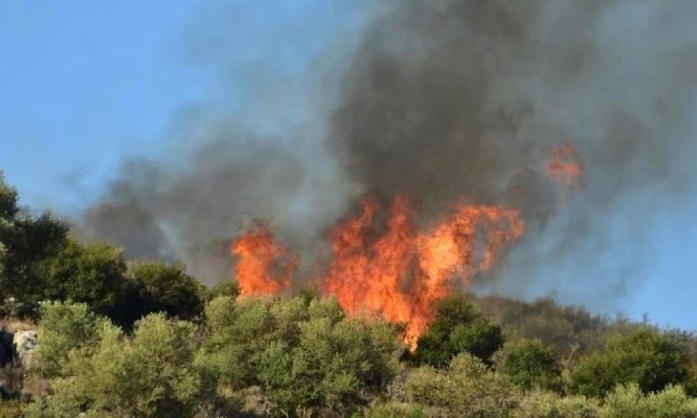 Καστοριά: Σε εξέλιξη πυρκαγιά που ξέσπασε σε δασική περιοχή